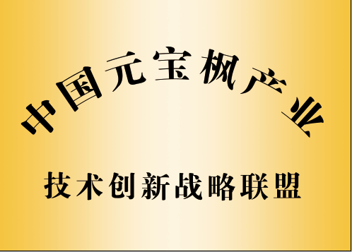 中(zhong)國(guo)元寶楓産(chan)業技(ji)術(shù)創新(xin)戰略聯(lian)盟