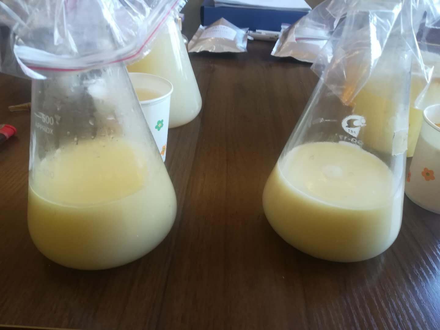 元寶楓籽油植物(wù)飲品(pin)的(de)開髮(fa)